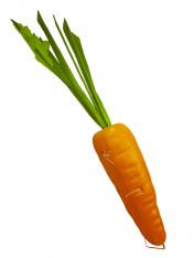обложка Муляж "Морковь" арт.FT224 OR /48 от интернет-магазина Книгамир