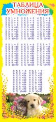 обложка ШМ-6318 Карточка-шпаргалка. Таблица умножения (формат 61х131 мм) от интернет-магазина Книгамир