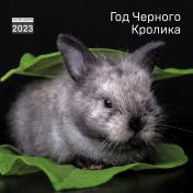 обложка Год черного кролика. Календарь настенный на 2023 год (300х300 мм) от интернет-магазина Книгамир