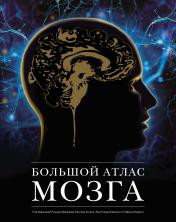 обложка Большой атлас мозга от интернет-магазина Книгамир