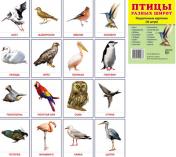 обложка Демонстрационные  картинки "Птицы разных широт".16 раздаточных карточек с текстом от интернет-магазина Книгамир