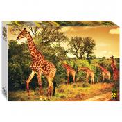 обложка Степ. Пазл 4000 арт.85420 "Южноафриканские жирафы" от интернет-магазина Книгамир