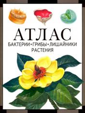 обложка Бактерии, грибы, лишайники, растения: атлас. 4-е изд от интернет-магазина Книгамир