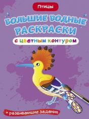 обложка Большие водные раскраски с цветным контуром. Птицы (9789669877390) от интернет-магазина Книгамир