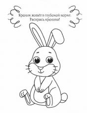 обложка Кролик от интернет-магазина Книгамир