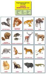 обложка Раздаточные карточки "Дикие животные -2" (63х87мм) от интернет-магазина Книгамир