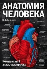 обложка Анатомия человека: компактный атлас-раскраска от интернет-магазина Книгамир