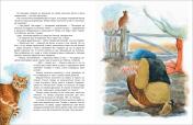 обложка Лагерлёф С. Чудесное путешествие Нильса с дикими гусями (ВЛС) от интернет-магазина Книгамир