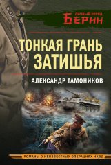обложка Тонкая грань затишья от интернет-магазина Книгамир