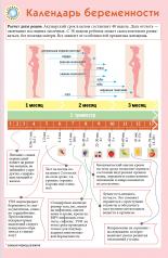 обложка Календарь беременности от интернет-магазина Книгамир