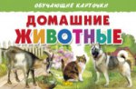 обложка Обучающие карточки. Домашние животные. 3+. от интернет-магазина Книгамир