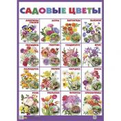 обложка Плакат "Садовые цветы" (550х770) от интернет-магазина Книгамир