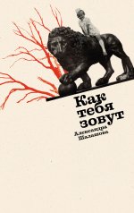 обложка Как тебя зовут: роман от интернет-магазина Книгамир