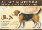 обложка Атлас анатомии мелких домашних животных от интернет-магазина Книгамир