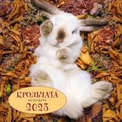 обложка Крольчата. Календарь настенный на 2023 год (300х300) от интернет-магазина Книгамир
