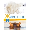 обложка Энциклопедии c фото и видео приложениями Животные от интернет-магазина Книгамир