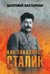 обложка Как закалялся Сталин от интернет-магазина Книгамир