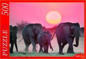 обложка Рыжий кот. Пазлы 500 эл. арт.7934 "Семейство слонов" от интернет-магазина Книгамир