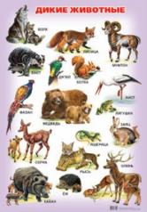 обложка Обучающие плакаты. "Дикие животные" от интернет-магазина Книгамир