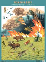 обложка Плакат. Пожар в лесу от интернет-магазина Книгамир