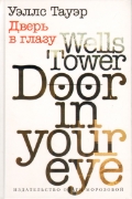 обложка Дверь в глазу от интернет-магазина Книгамир