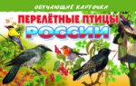 обложка Обучающие карточки. Перелетные птицы России. 3+. от интернет-магазина Книгамир