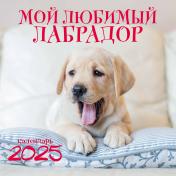 обложка Мой любимый лабрадор. Календарь настенный на 2025 год (300х300 мм) от интернет-магазина Книгамир