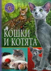 обложка Кошки и котята (Популярная детская энциклопедия) от интернет-магазина Книгамир