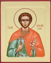 обложка Икона Виталия Римлянина, мученика на дереве: 125 х 160 (Синопсисъ) от интернет-магазина Книгамир