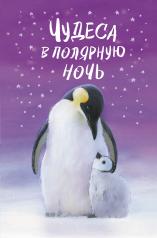 обложка Чудеса в полярную ночь от интернет-магазина Книгамир