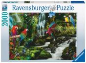 обложка Ravensburger. Пазл карт. 2000 "Разноцветные попугаи в джунглях" арт.17111 от интернет-магазина Книгамир