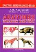 обложка Анатомия домашних животных (твердая обложка) от интернет-магазина Книгамир
