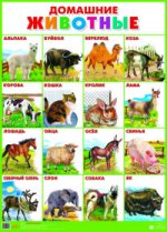 обложка Плакат "Домашние животные" (555х774) от интернет-магазина Книгамир