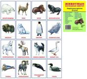 обложка Раздат. карточки "Животные холодных шир" (63х87мм) от интернет-магазина Книгамир