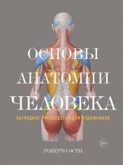обложка Основы анатомии человека. Наглядное руководство для художников от интернет-магазина Книгамир
