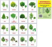 обложка Раздаточные карточки "Деревья и кустар." (63х87мм) от интернет-магазина Книгамир