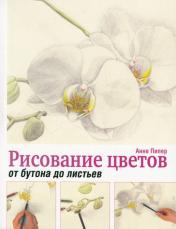 обложка Рисование цветов от бутона до листьев от интернет-магазина Книгамир