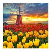 обложка Molly. Картины мозаикой KM0685 "Поля тюльпанов в Нидерландах" (30х30) 27 цветов 1/20 от интернет-магазина Книгамир