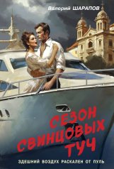 обложка Сезон свинцовых туч от интернет-магазина Книгамир