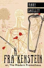 обложка Frankenstein; or, The Modern Prometheus от интернет-магазина Книгамир