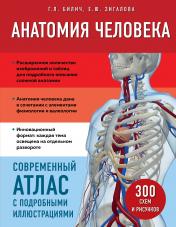 обложка Анатомия человека. Современный атлас с подробными иллюстрациями от интернет-магазина Книгамир