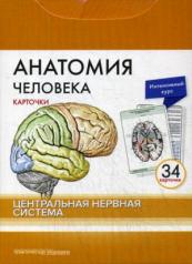 обложка Анатомия человека: карточки. (34 шт). Центральная нервная система от интернет-магазина Книгамир