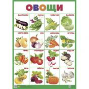 обложка Плакат "Овощи" (555х774) от интернет-магазина Книгамир