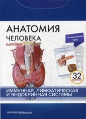 обложка Анатомия человека. Иммунная, лимфатическая и эндокринная системы (набор из 32 карточек) от интернет-магазина Книгамир
