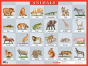 обложка Животные. Animals. Наглядное пособие по англ.яз. от интернет-магазина Книгамир