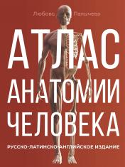 обложка Атлас анатомии человека. Русско-латинско-английское издание от интернет-магазина Книгамир