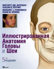 обложка Иллюстрированная анатомия головы и шеи - М.Ференбах, С.Херринг от интернет-магазина Книгамир