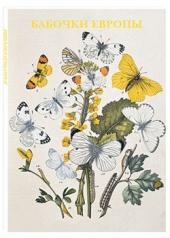 обложка Бабочки Европы от интернет-магазина Книгамир