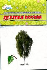 обложка Деревья России от интернет-магазина Книгамир