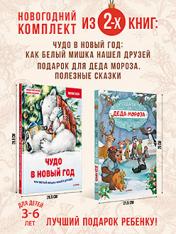 обложка Комплект из 2-х книг: Увлекательный Новый год с Дедом Морозом от интернет-магазина Книгамир